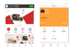 天地大美微信旗舰分销商城